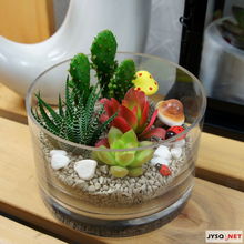 俏皮綠植送清涼，花卉禮品助你留住夏日清新