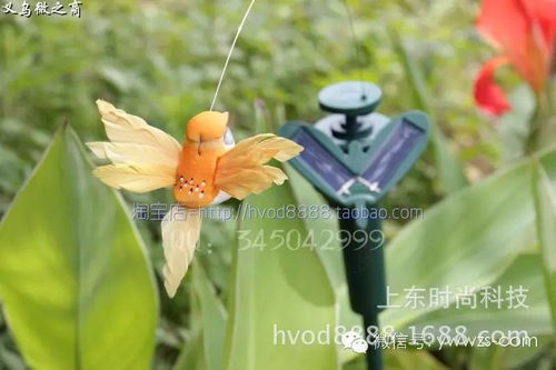 太陽(yáng)能蝴蝶與蜂鳥(niǎo) 義烏直銷(xiāo)點(diǎn)亮戶外裝飾與創(chuàng)意禮品新潮流