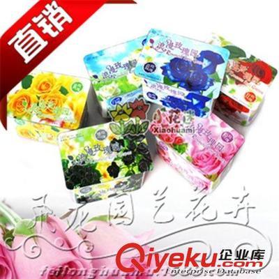 沭陽(yáng)飛龍園藝 廠家直銷(xiāo)新奇特禮品盆栽——浪漫黑玫瑰園